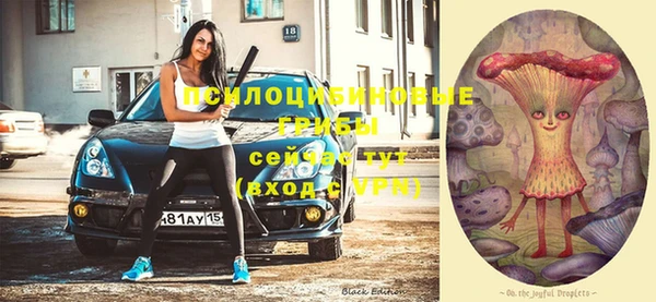 стафф Нея