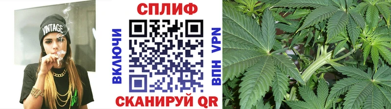 Канабис гибрид Кирс